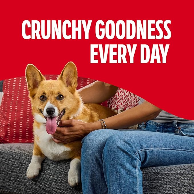 Milk-Bone Flavor Snacks Small Dog Biscuits, Flavored Crunchy Dog Treats, 24 Oz. Box